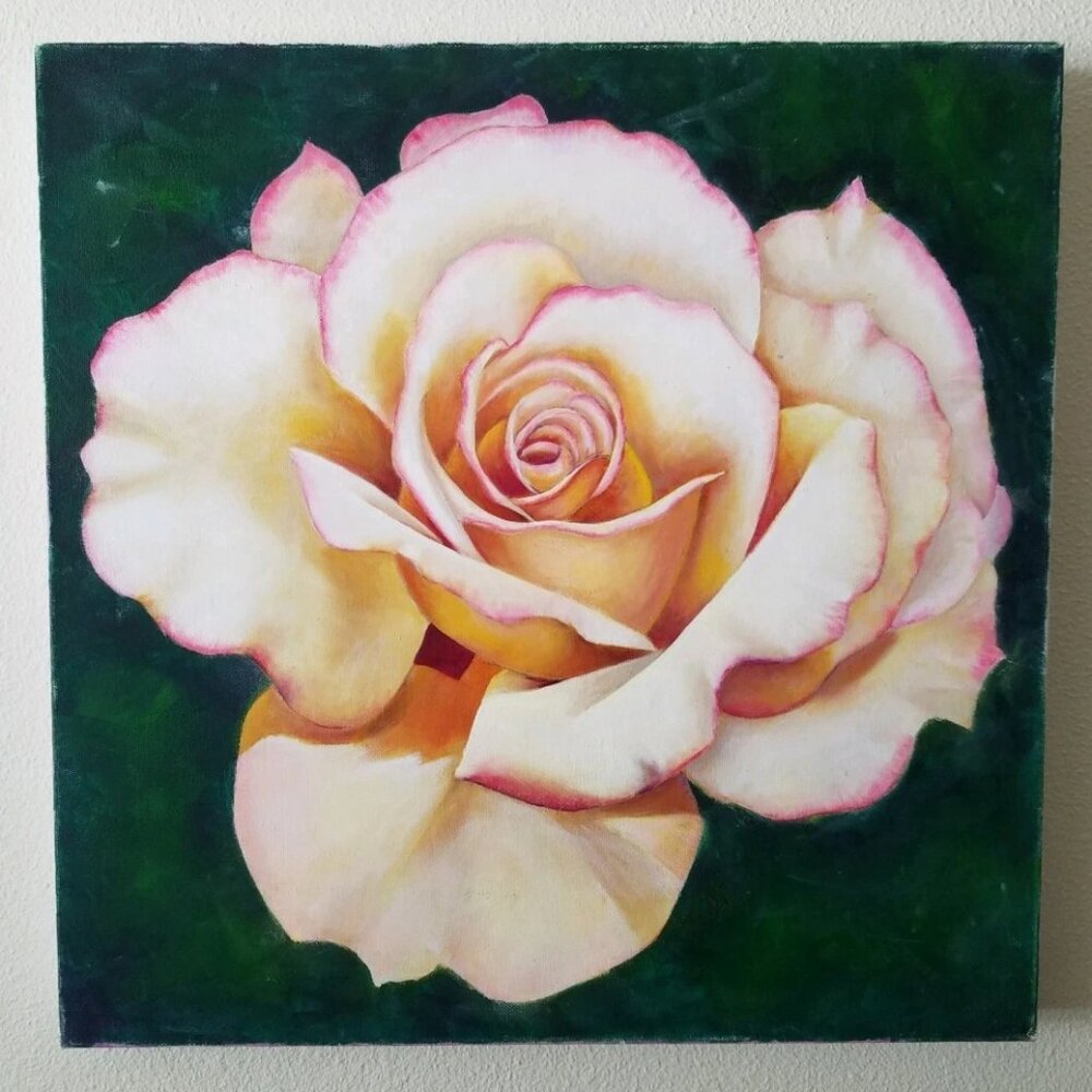 Original Painting of a Rose on Canvas Wall Art Dimensions: 20" x 20"